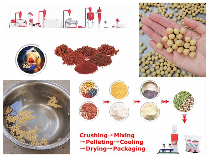 Thailand Yellow Perch production line pellet machine